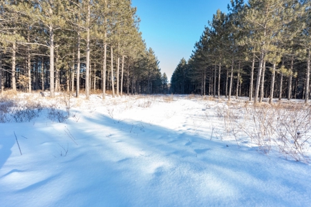 200-acre tract of land with a lot of diversity in Juneau Cty - image 9