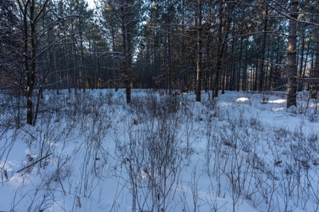 200-acre tract of land with a lot of diversity in Juneau Cty - image 5