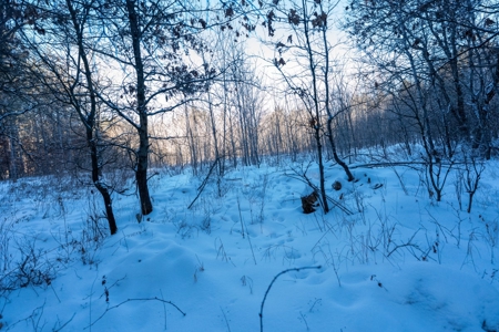 200-acre tract of land with a lot of diversity in Juneau Cty - image 11