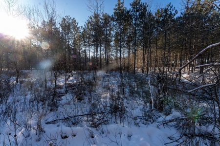 200-acre tract of land with a lot of diversity in Juneau Cty - image 23