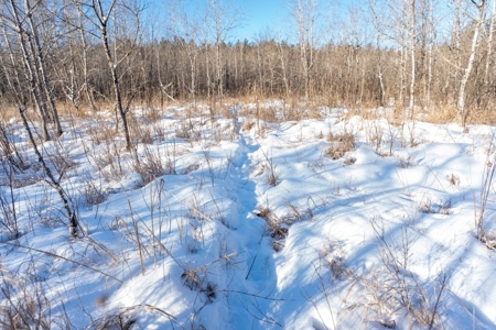 200-acre tract of land with a lot of diversity in Juneau Cty - image 17