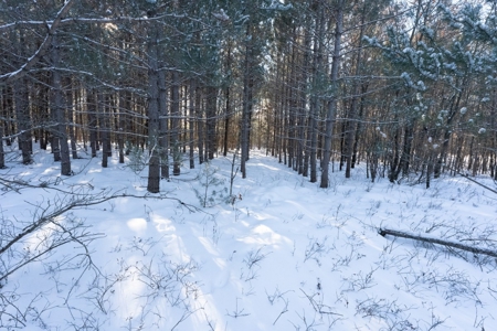 200-acre tract of land with a lot of diversity in Juneau Cty - image 27