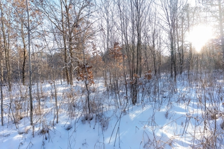 200-acre tract of land with a lot of diversity in Juneau Cty - image 2