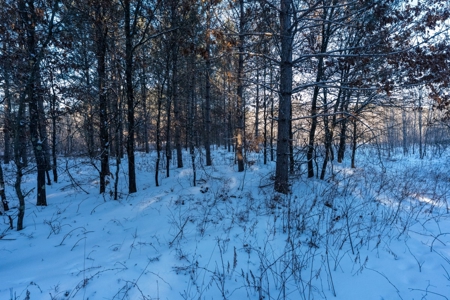 200-acre tract of land with a lot of diversity in Juneau Cty - image 10