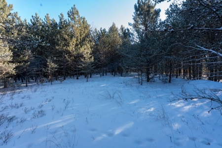 200-acre tract of land with a lot of diversity in Juneau Cty - image 29
