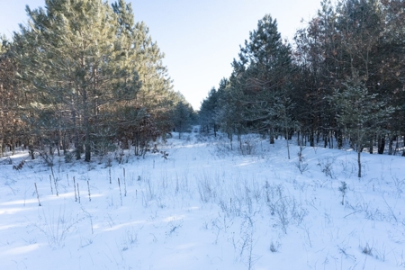 200-acre tract of land with a lot of diversity in Juneau Cty - image 26