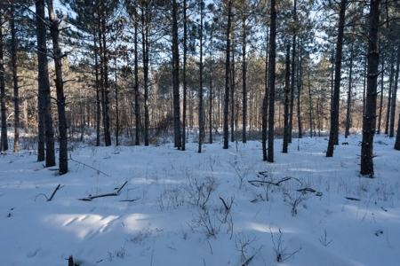 200-acre tract of land with a lot of diversity in Juneau Cty - image 18