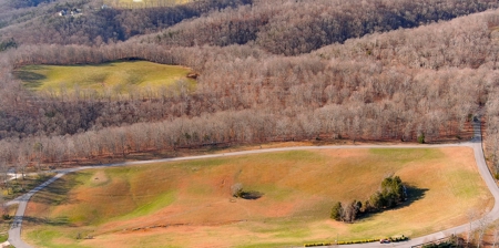 Lakeview Building Lot in Albany, Kentucky - image 6