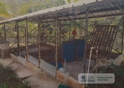 Lot With House For Sale In Toabre Penonome Cocle - image 3