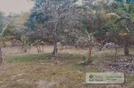 Lot With House For Sale In Toabre Penonome Cocle - image 4