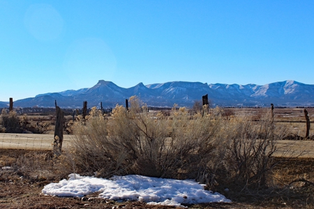 Tiny Home Close to Town in Mancos, CO For Sale! - image 17