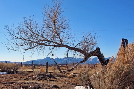 Tiny Home Close to Town in Mancos, CO For Sale! - image 16