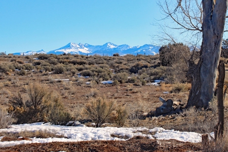 Tiny Home Close to Town in Mancos, CO For Sale! - image 21