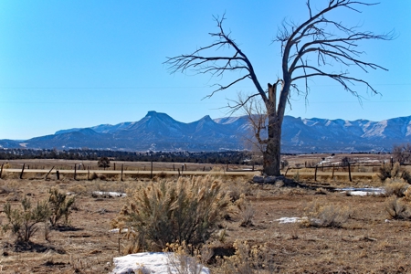 Tiny Home Close to Town in Mancos, CO For Sale! - image 29