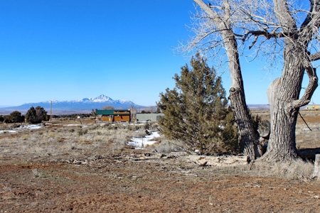 Tiny Home Close to Town in Mancos, CO For Sale! - image 28