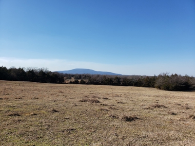 Sugarloaf Mountain 19.7 Acre Ranch & Home Site – Gilmore, Ok - image 10