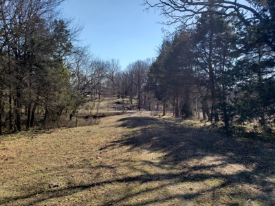Sugarloaf Mountain 19.7 Acre Ranch & Home Site – Gilmore, Ok - image 19