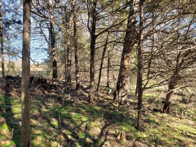 Sugarloaf Mountain 19.7 Acre Ranch & Home Site – Gilmore, Ok - image 15