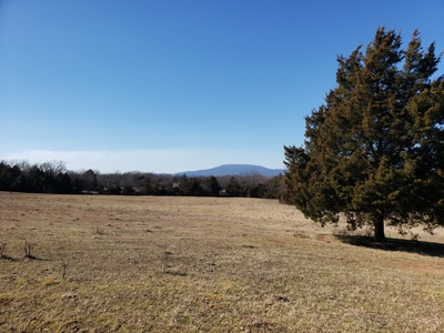 Sugarloaf Mountain 19.7 Acre Ranch & Home Site – Gilmore, Ok - image 6