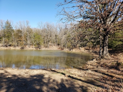 Sugarloaf Mountain 19.7 Acre Ranch & Home Site – Gilmore, Ok - image 7