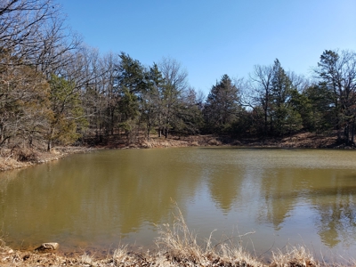 Sugarloaf Mountain 19.7 Acre Ranch & Home Site – Gilmore, Ok - image 12