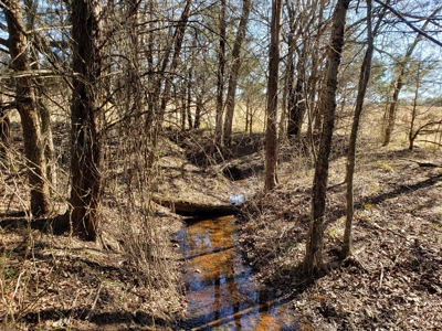 Sugarloaf Mountain 19.7 Acre Ranch & Home Site – Gilmore, Ok - image 11