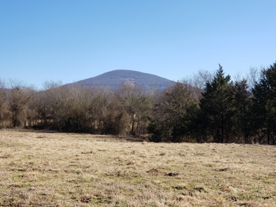 Sugarloaf Mountain 19.7 Acre Ranch & Home Site – Gilmore, Ok - image 18