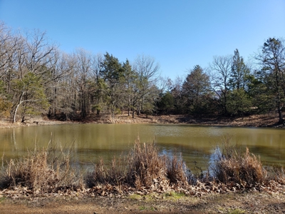 Sugarloaf Mountain 19.7 Acre Ranch & Home Site – Gilmore, Ok - image 3