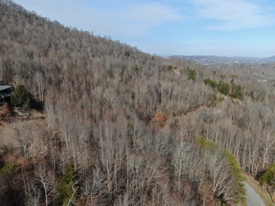 Lake Norris Lakefront Community Claiborne County Tennessee - image 14