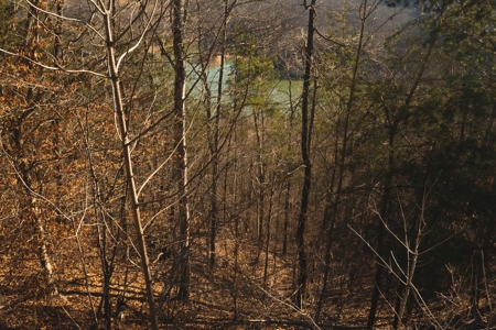 Claiborne County TN-Lake Access Lot for Sale- New Tazewell - image 2