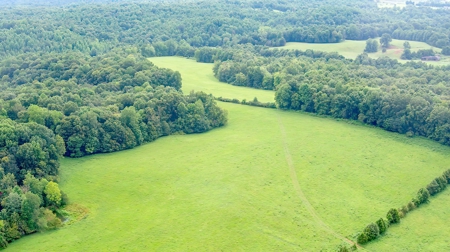 Hunting & Farm Land for sale in Adair County Kentucky - image 10