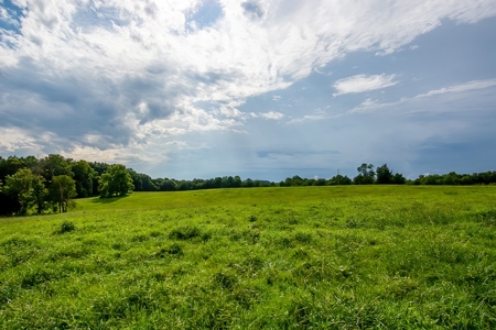 Hunting & Farm Land for sale in Adair County Kentucky - image 32