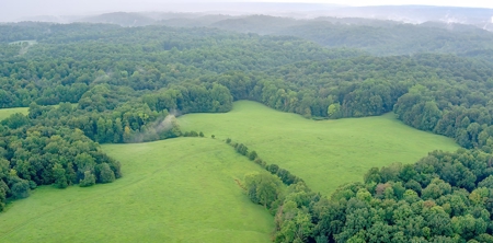 Hunting & Farm Land for sale in Adair County Kentucky - image 5