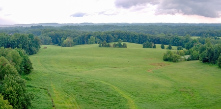Hunting & Farm Land for sale in Adair County Kentucky - image 7