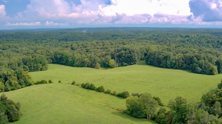 Hunting & Farm Land for sale in Adair County Kentucky - image 15