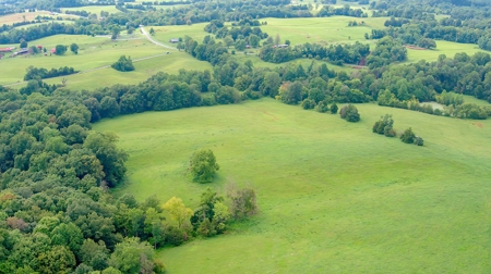 Hunting & Farm Land for sale in Adair County Kentucky - image 11