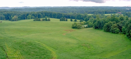 Hunting & Farm Land for sale in Adair County Kentucky - image 6