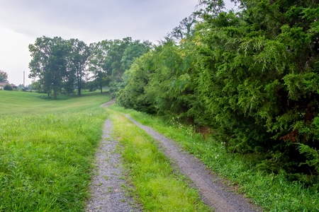 Hunting & Farm Land for sale in Adair County Kentucky - image 22