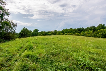 Hunting & Farm Land for sale in Adair County Kentucky - image 23