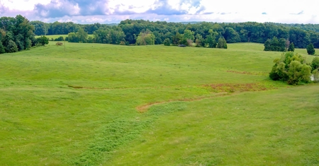 Hunting & Farm Land for sale in Adair County Kentucky - image 12