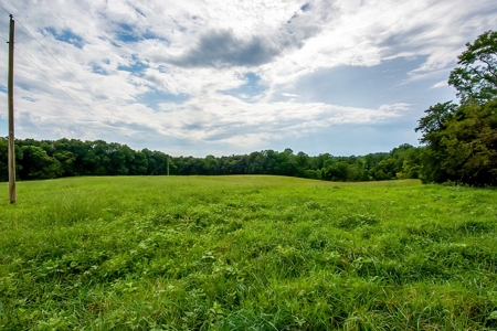 Hunting & Farm Land for sale in Adair County Kentucky - image 26