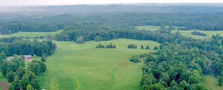 Hunting & Farm Land for sale in Adair County Kentucky - image 2