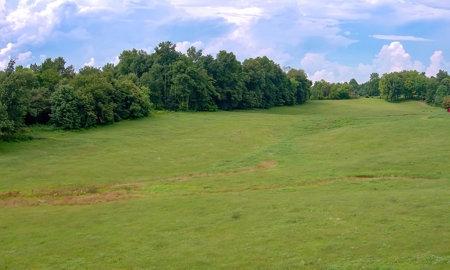 Hunting & Farm Land for sale in Adair County Kentucky - image 16