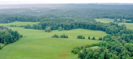 Hunting & Farm Land for sale in Adair County Kentucky - image 3