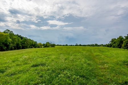 Hunting & Farm Land for sale in Adair County Kentucky - image 31
