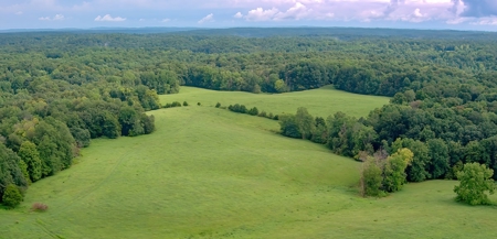 Hunting & Farm Land for sale in Adair County Kentucky - image 1