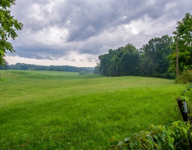 Hunting & Farm Land for sale in Adair County Kentucky - image 17