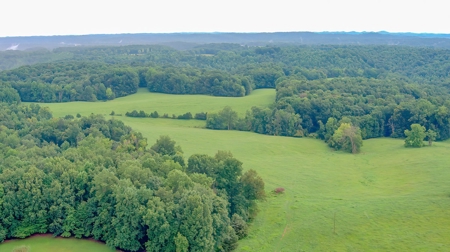 Hunting & Farm Land for sale in Adair County Kentucky - image 9