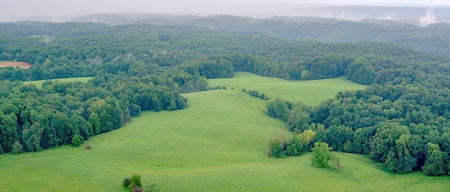 Hunting & Farm Land for sale in Adair County Kentucky - image 4