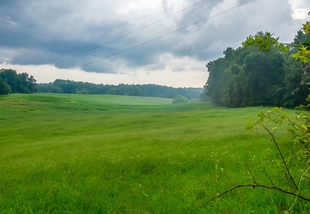 Hunting & Farm Land for sale in Adair County Kentucky - image 19